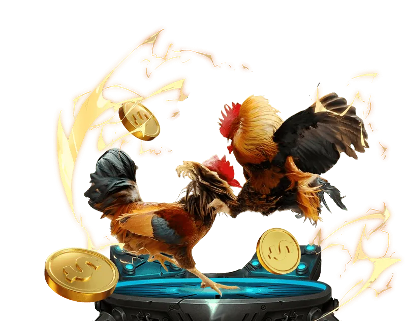 Các rủi ro thường gặp khi tham gia cá cược trực tuyến